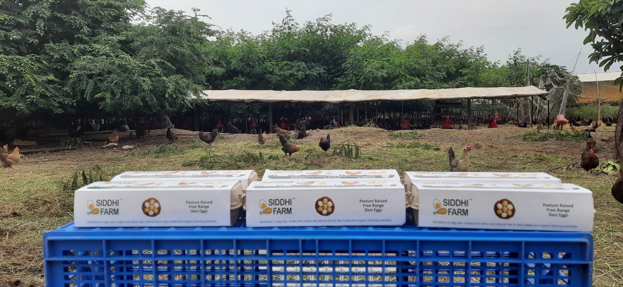 photo_2024-08-04 22.17.32.jpeg